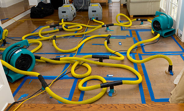 Professional Crawl Space Water Removal technician working in Bretton Woods, NH